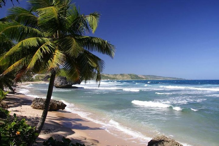 Shuttle To Liberia Airport To Santa Teresa, Montezuma & Mal Pais Beach - Photo 1 of 6